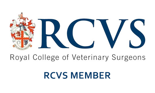 RCVS Registered